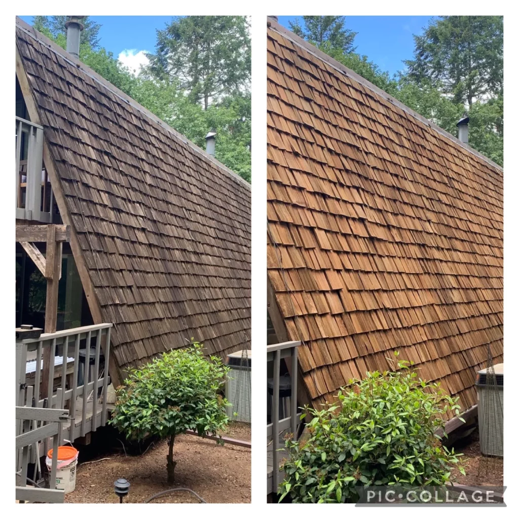 Moss Removal Roof Cleaning