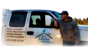 Professional Pressure Washing Service