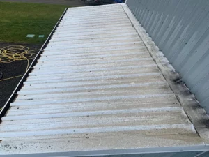 Professional Roof Cleaning