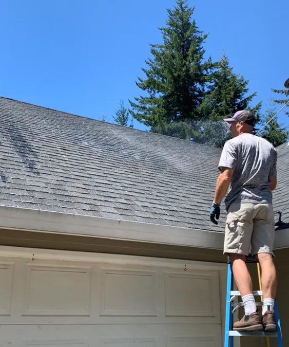 Professional Roof Cleaning Service