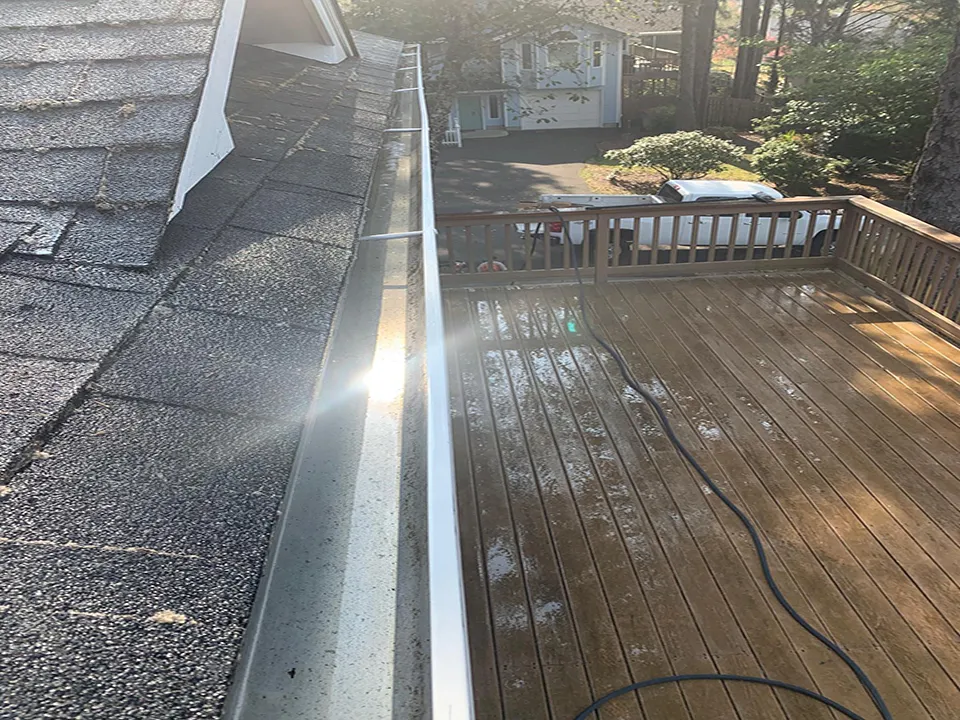 Professional Gutter Cleaning Results