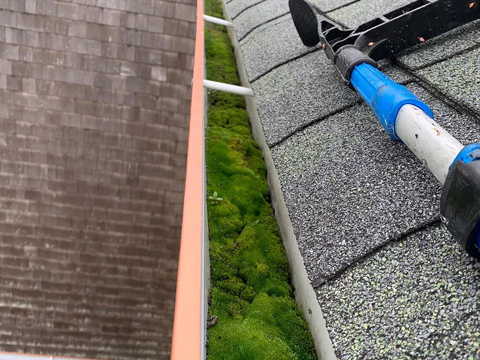 Gutter Cleaning Moss Removal