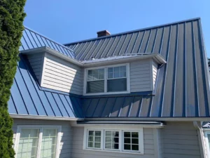 Professional House Washing Service