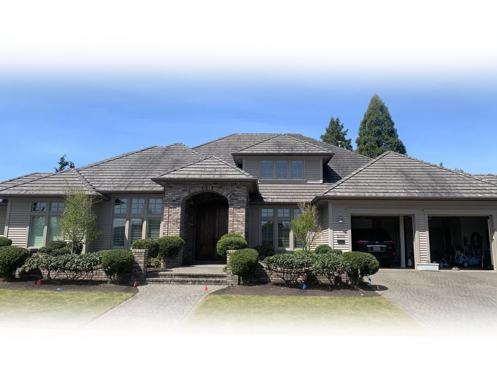 Professional House Washing Service