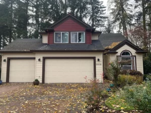 Residential Roof Cleaning Service