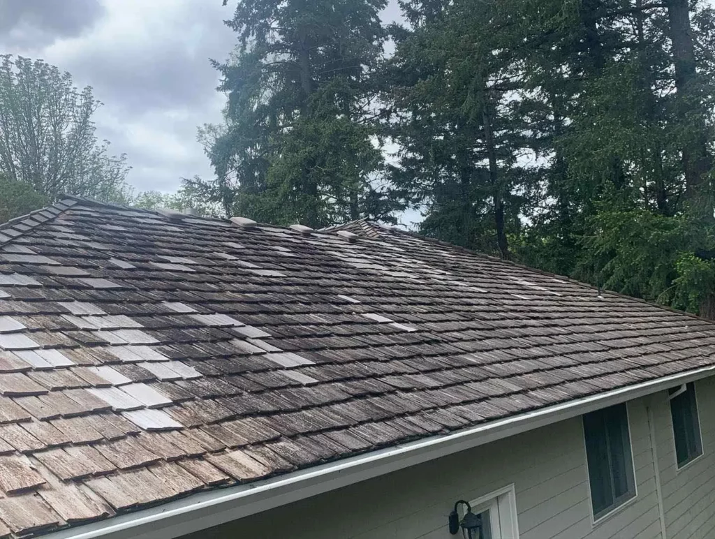 Soft Washing Roof Cleaning