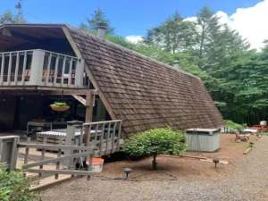 Roof Moss Problem