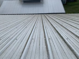 Delicate Rooftop Cleaning